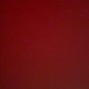 Meet your Posher, Savannah